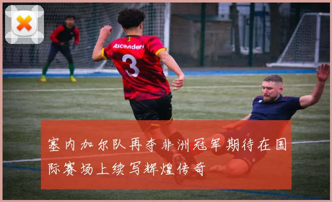 塞内加尔队再夺非洲冠军期待在国际赛场上续写辉煌传奇