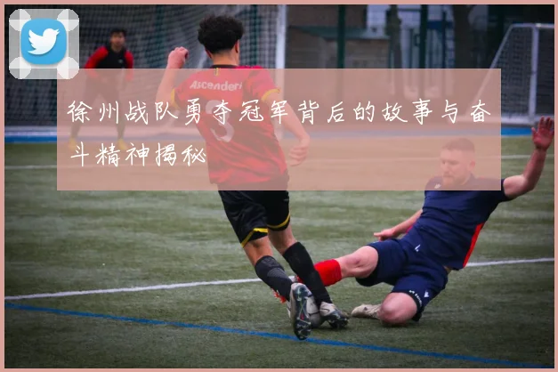 徐州战队勇夺冠军背后的故事与奋斗精神揭秘