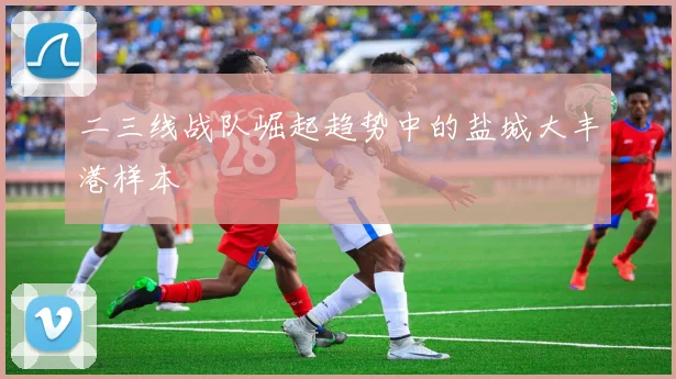二三线战队崛起趋势中的盐城大丰港样本