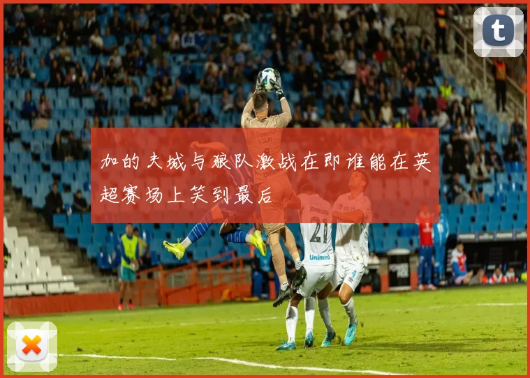 加的夫城与狼队激战在即谁能在英超赛场上笑到最后
