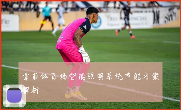 索菲体育场智能照明系统节能方案解析