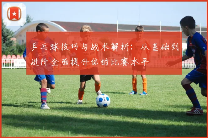 乒乓球技巧与战术解析：从基础到进阶全面提升你的比赛水平