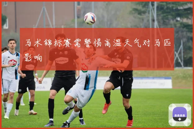 马术锦标赛需警惕高温天气对马匹影响
