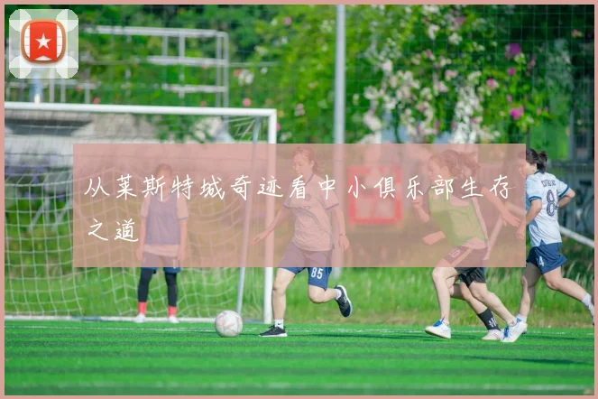 从莱斯特城奇迹看中小俱乐部生存之道
